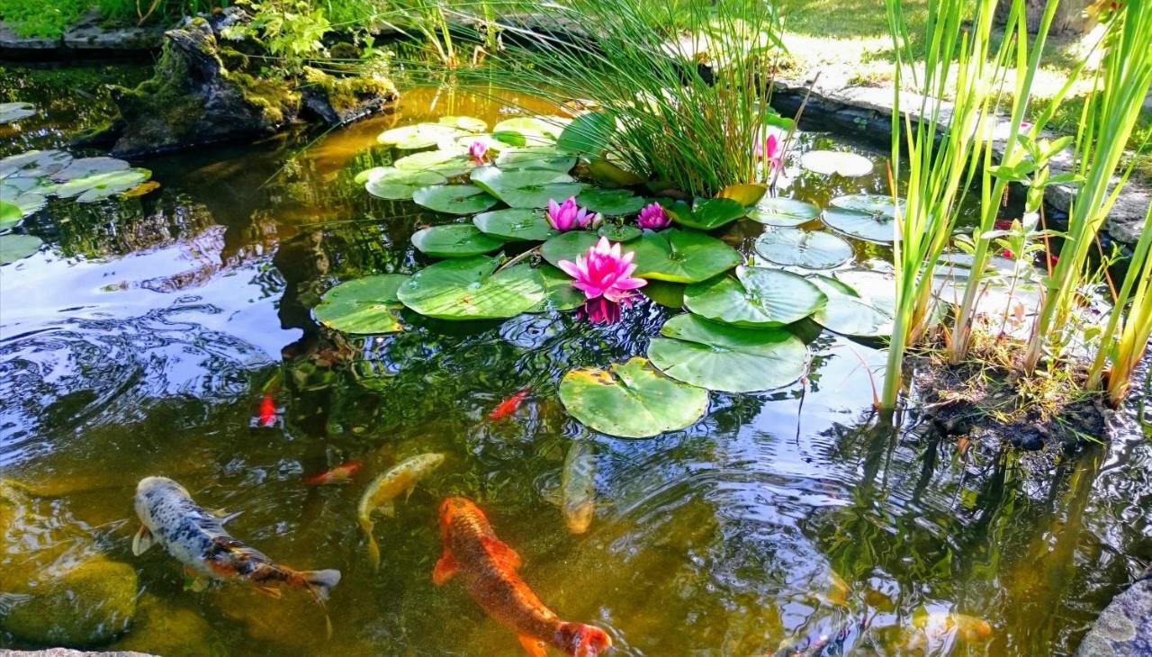 Gite Pause Au Jardin Piscine Chauffee Saint-Branchs Luaran gambar